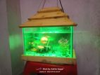 Aquarium for sell