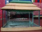 Aquarium For Sell