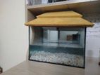 Aquarium For Sale