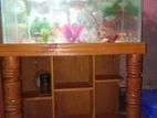 Aquarium For Sell