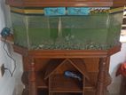 Aquarium for sell