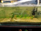 Aquarium for sell