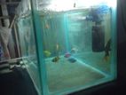Aquarium