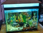 Aquarium