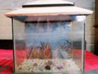 Aquarium for sale