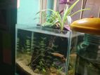 Aquarium sell