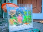 aquarium sell