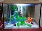Aquarium For Sale
