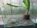 Aquarium