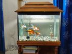Aquarium Sell