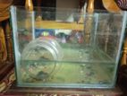 Aquarium for sell