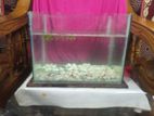 Aquarium For Sell