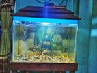 Aquarium for sell