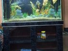 aquarium for sell