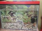 Aquarium for sell