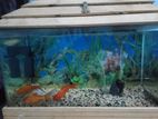 Aquarium for sell