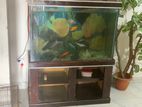 Aquarium for Sell