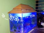 Aquarium for sell