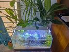 Aquarium for sell