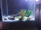 AQUARIUM FOR SELL