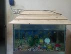 Aquarium For Sell