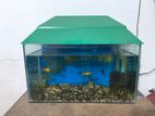 Aquarium For Sell