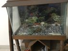 Aquarium For Sell