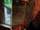 Aquarium For Sell