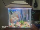 Aquarium For Sell