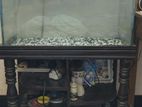 Aquarium Full