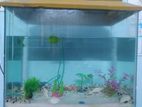 Aquarium Full Set