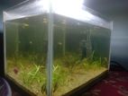 aquarium full set up