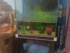 Aquarium Full Set with Machine Sell Post