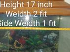 Aquarium Height=17 inch Weidth=2 fit Side weidth=1fit