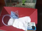 Aquarium + Items And Fish