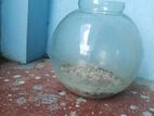 Aquarium Jar