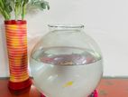 Aquarium Large Jar with Fish