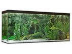 Aquarium Large size 10mm Tempered Glass