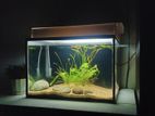 Aquarium LED light