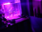 Aquarium mini RGB light ( under water )
