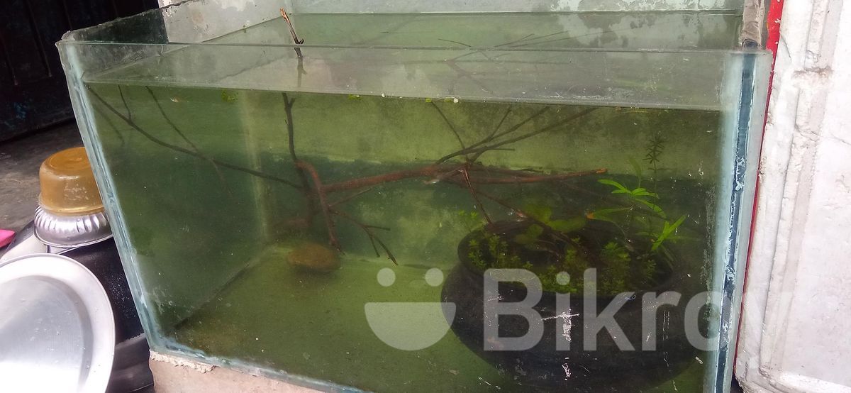 Aquarium Sell for Sale in Shiroil Bikroy
