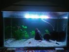 Aquarium for sale