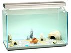 Aquarium Open Tank 18-12" একুরিয়াম