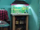 AQUARIUM SALE