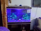 Aquarium sell (একুরিয়াম) without stand