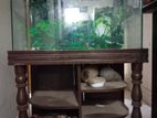 Aquarium Sell Hoba