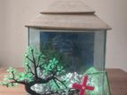 Aquarium Sell Hobe