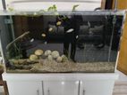 Aquarium Sell Hone