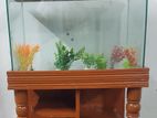 Aquarium Set For Home