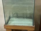 Aquarium Set